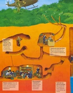 Тоннели Кути.