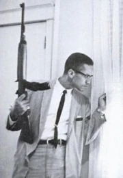 Vqhpszdsgp3topjkwgym