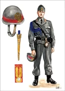 Celerino 1948.jpg (36 КБ)