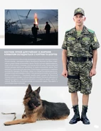 33359.large.jpg (447 Кб) 33359.large