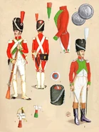 Лейб-гвардия Лукки и Пьомбино. At its height the unit comprised three companies, two of grenadies and one of chasseurs. The uniform was similar to the French Imperial guard but with Red coatees with Pistachio green facings. The unit comprised a grenadier company and a chasseur company. Raised in May 1806 the unit was finally dissolved in March 1814, having been reduced to a single company in August 1810.