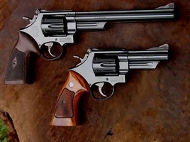S&W Model 29 comparison