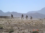 4279411067 0c67c17516.jpg (64 КБ)