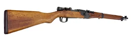Type 2 TERA rifle