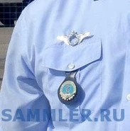 Неустановленный знак военного пилота и, предположительно, эмблема авиабазы.