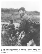 2395812.jpg (164 КБ)