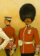 ColdStreamGuardsDetail