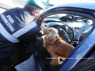 ГПСУ19.jpg (73 Кб) ГПСУ19