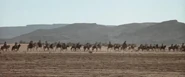 The.Four.Feathers.2002.BDRip.x264.AC3.Rus.Eng-tRuAVC.mkv snapshot 01.12.11.jpg (63 КБ)