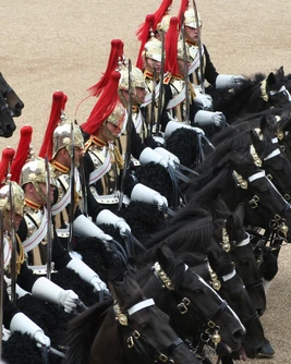 Cavalry Trooping the Colour, 16th June 2007