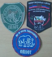 Шевроны батальона.