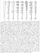 Типы уатоги.