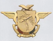 Ввс гвинеи.png (93 КБ) Современная эмблема ВВС.