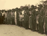 13гаити.jpg (60 КБ)