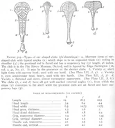 BucSamo602a.jpg (75 КБ)