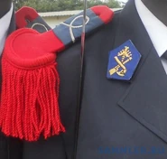 Петлица и эполет выпускника военного училища.