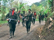 AR-311139994.jpg (331 КБ)