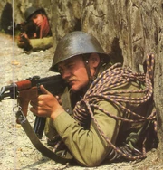 Румынский горнострелок в социалистический период.