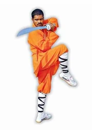 Индус в оранжевом халате Шаолиня. Подобным образом мог выглядеть и легендарный основатель Шаолиня — Бодхидхарма.