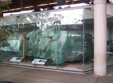 A7V Mephisto (506) в Музее Квинсленда в Брисбене, Австралия.