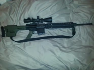 AR-10A4 SPR.