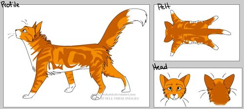 Warrior Cats Name Generator! by BriteshineStormberry on DeviantArt