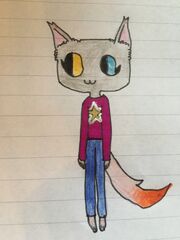 Graufeuer als AC Katze von Schnee