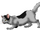 Ashpaw(wl).png