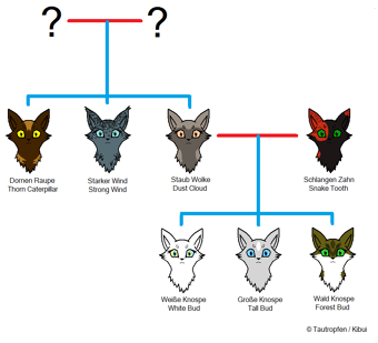 Staub Wolke Warriorcats Erfindung Wiki Fandom