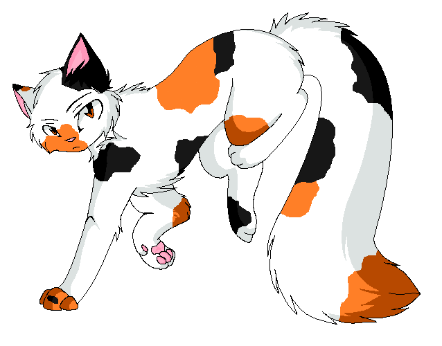 warrior cats willowkit