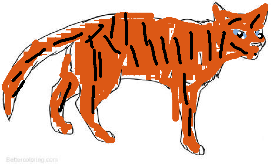 Sunnyroar Ainc Warrior Cats Fandom Wiki Fandom