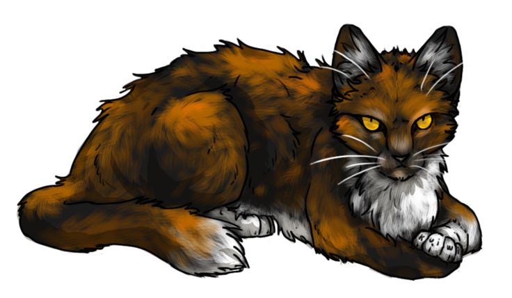 Рыжинка коты воители
