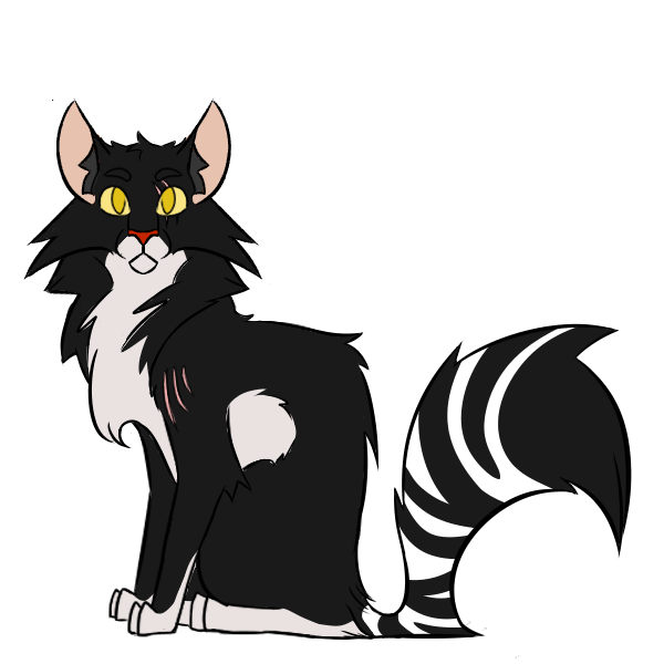 Warrior cats hot sale black and white