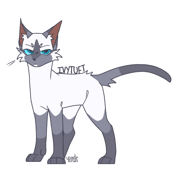 Ivytuft (ShC) | Warrior Cats Fandom Wiki | Fandom