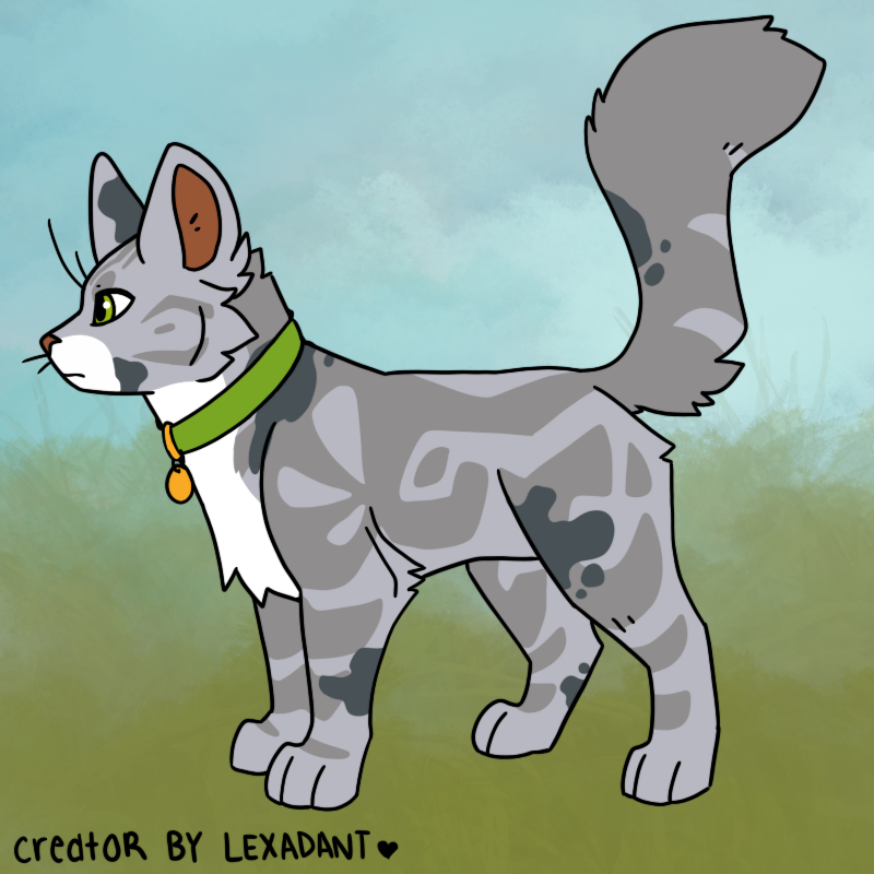 River (RAkp) | Warrior Cats Fandom Wiki | Fandom