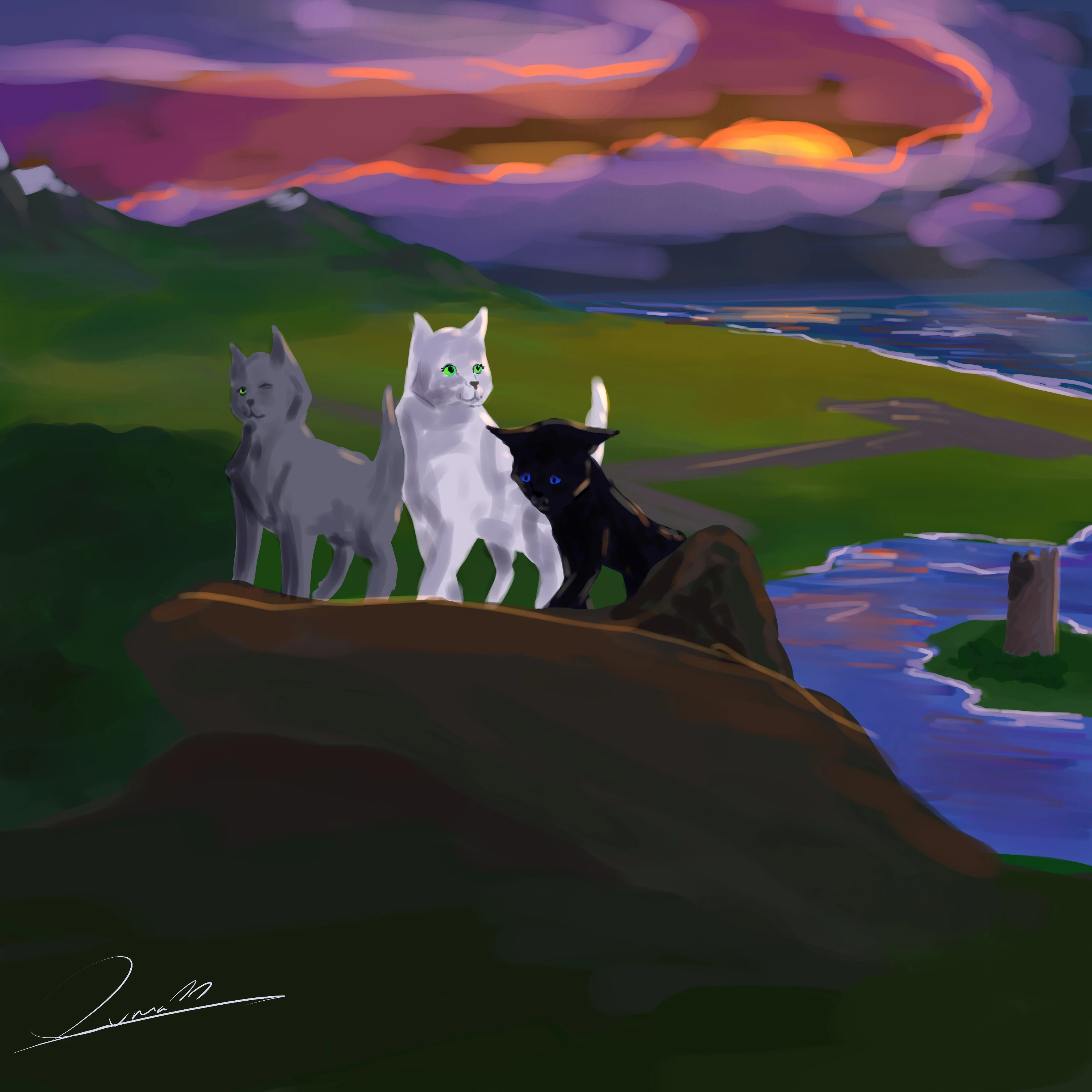 Luna's fanfictions/Verscheurde Wegen | De Nederlandse Warrior Cats  Fanfiction wiki | Fandom, image size:3000x3000