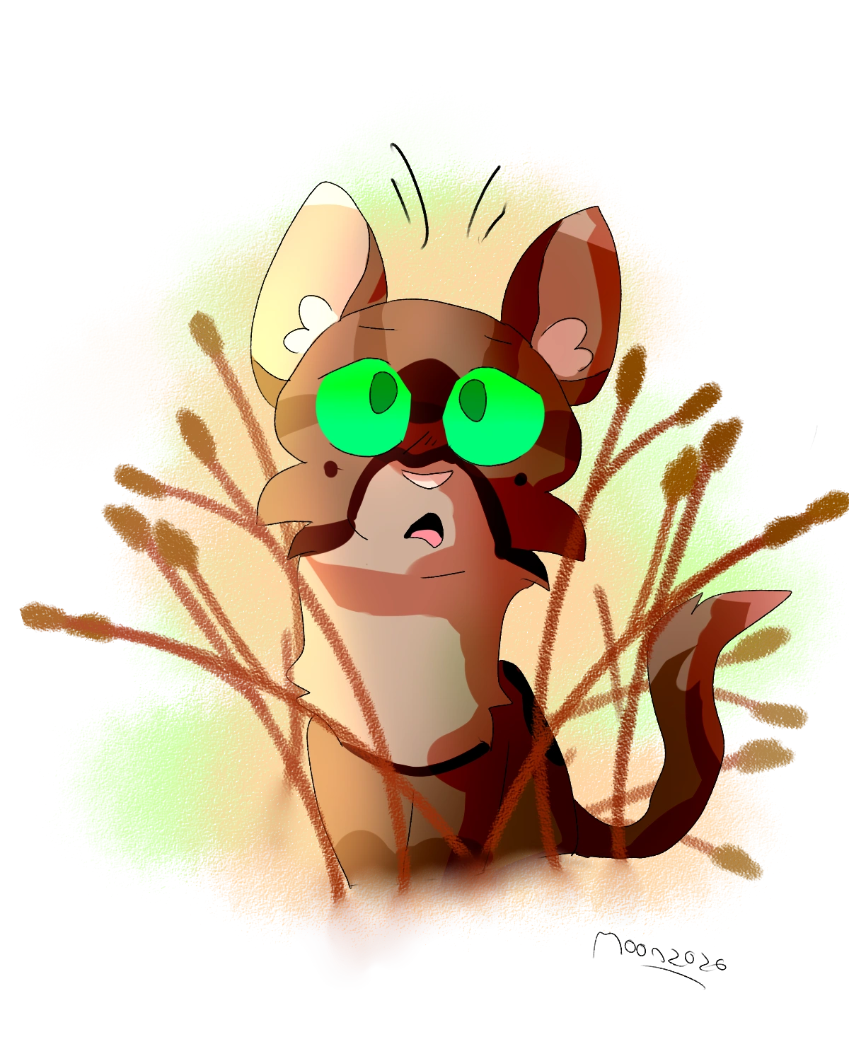 Moonkitty1's fanfictions/ Lichts Lot | De Nederlandse Warrior Cats  Fanfiction wiki | Fandom, image size:1200x1500