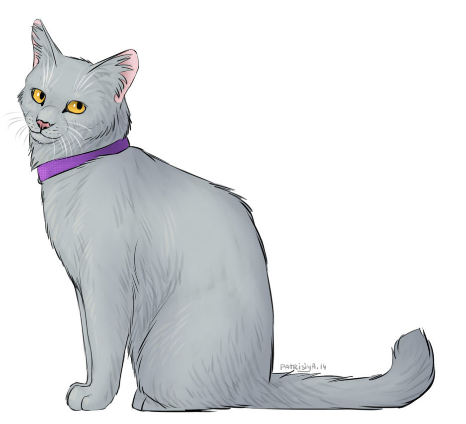 Quince WarriorCatsHarryPotterPercyJacksonLovers Wiki Fandom