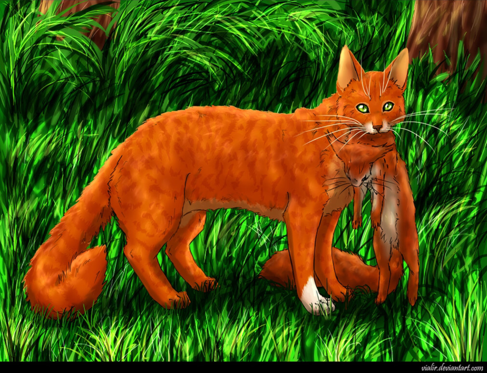 Squirrelflight, Warriors Wiki, FANDOM powered by Wikia