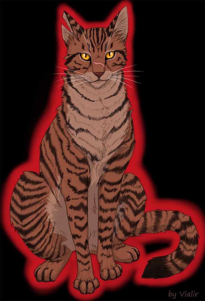 Tigerstar (TPB), Warriors Wiki, Fandom