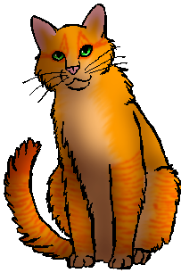 Firestar  Warrior Cats