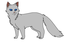 Паучонок НП окрас