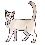 Оленья Звезда (воительница).png (32 КБ) Оленья Поступь (воительница)