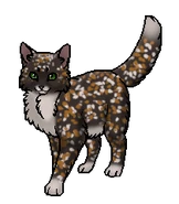 Цветолапка (оруженосец)