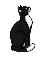 Враноклюв (глашатай)