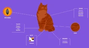 Иллюстрация с официального вебсайта