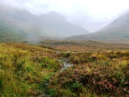 695651834.jpg (449 Кб) 695651834