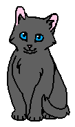 Сланчик (котёнок)