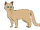 Космач (племя Ветра)