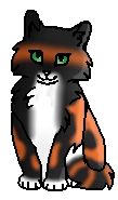 Цветинка (котёнок)